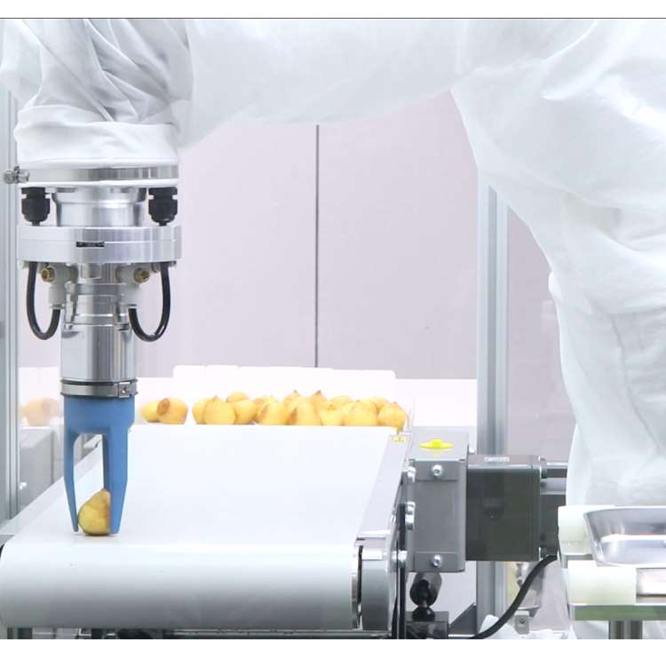 6-osiowy robotyczny ramię CNC  – Linear Rail recenzja i cena